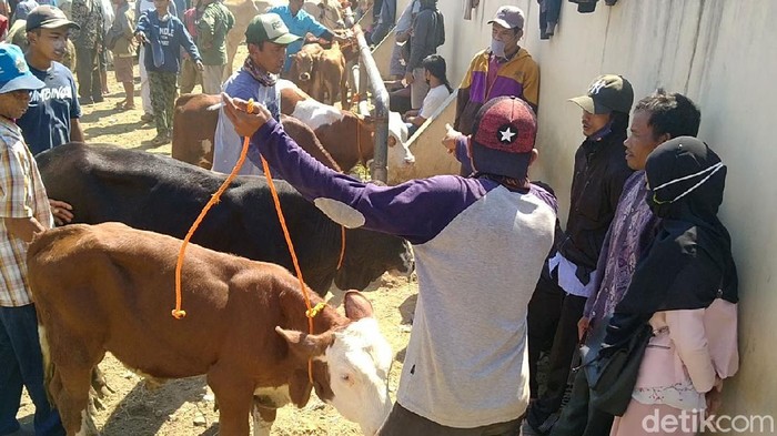 Menjelang Idul Adha, Pasar Hewan Kajen Pekalongan terpantau ramai hari ini. Keramaian itu terjadi saat PPKM darurat sedang diberlakukan di Jawa-Bali.