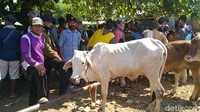 Meski masih dalam masa PPKM Darurat, tidak tampak ada petugas penanganan COVID-19 yang melakukan imbauan prokes atau melakukan tindakan tegas.