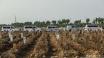 Pilu Antrean Ambulans di TPU Rorotan