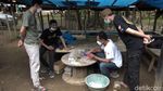 Salon Ikan Cupang, Peluang Cuan di Tengah Pandemi