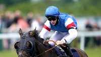 Aksi keberanian yang ditunggangi oleh Dylan Hogan memenangkan Handicap Taruhan Gratis Harian QuinnBet di Great Yarmouth Racecourse.