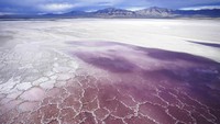 Pendangkalan air danau ini pun tampak jelas dari udara.  