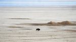 Nestapa Keringnya Danau Great Salt di Amerika