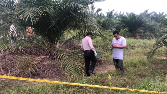 Polisi di TKP penemuan tulang belulang di Riau (dok. polisi)