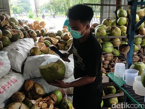 Dipercaya Perkuat Imun, Degan Ijo di Surabaya Laris Manis: 500 Biji Habis Sehari