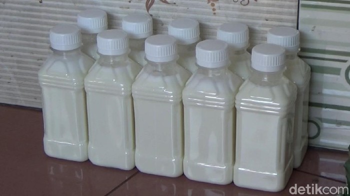 Lonjakan kasus COVID-19 di Jawa Barat membuat peternak kambing di Purwakarta kebanjiran order susu. Ya, susu kambing kini jadi buruan warga.