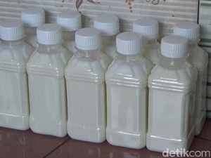 15 Manfaat Susu Kambing: Kandungan Gizi dan Efek Sampingnya