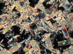 Foto Benda-benda di Sekitar Dilihat dari Mikroskop, Menakjubkan!