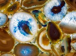 Foto Benda-benda di Sekitar Dilihat dari Mikroskop, Menakjubkan!