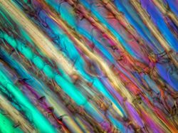 Foto Benda-benda di Sekitar Dilihat dari Mikroskop, Menakjubkan!