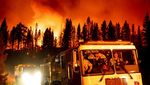 Merah Membara, Api Lumat Hutan di California