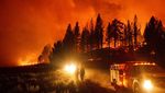Merah Membara, Api Lumat Hutan di California