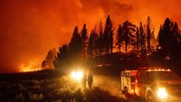 Kebakaran ini dipicu gelombang panas serta vegetasi yang sangat kering.