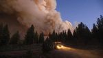 Merah Membara, Api Lumat Hutan di California