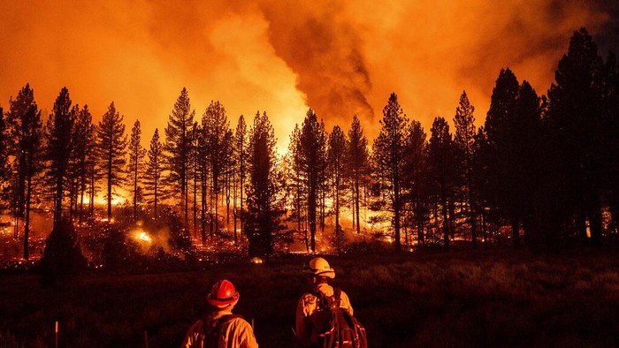 Merah Membara, Api Lumat Hutan di California Kebakaran hutan kembali menghanguskan hutan di California. Bahkan kebakaran tahun ini terjadi lebih luas dibandingkan dengan tahun 2020 lalu.