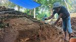 Candi Muara Jambi Diteliti