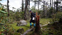 Raja Jigme juga melakukan pemantauan hutan selagi ke area terpencil. (His Majesty King Jigme Khesar Namgyel Wangchuck/Facebook)