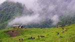 Foto Raja Bhutan Naik-Turun Gunung, Susuri Perbatasan Kampanye Prokes