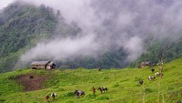 Saat ini, Bhutan masih menutup seluruh perbatasannya sambil meningkatkan pengujian dan vaksinasi demi menghentikan penyebaran Covid-19. (His Majesty King Jigme Khesar Namgyel Wangchuck/Facebook)