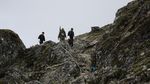 Foto Raja Bhutan Naik-Turun Gunung, Susuri Perbatasan Kampanye Prokes