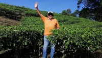 Pria yang hobi tenis ini sedang coba trekking di kebun teh. “Saya bersama teman-teman tenis saya, pergi ke Gunung Mas untuk trekking,” tulis Aburizal Bakrie di Instagram pada Agustus 2020.