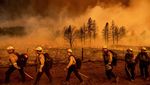Kobaran Api yang Lalap Hutan di California Makin Membara