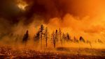 Kobaran Api yang Lalap Hutan di California Makin Membara