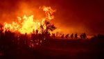 Kobaran Api yang Lalap Hutan di California Makin Membara