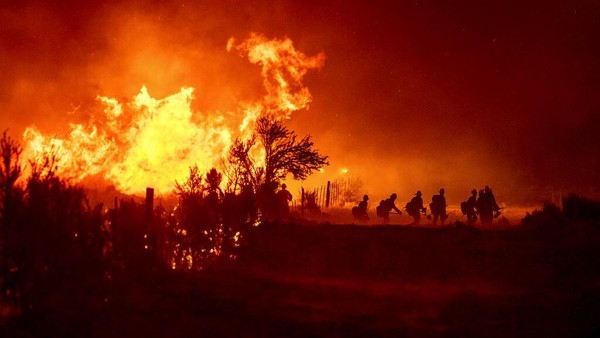 Kobaran Api yang Lalap Hutan di California Makin Membara