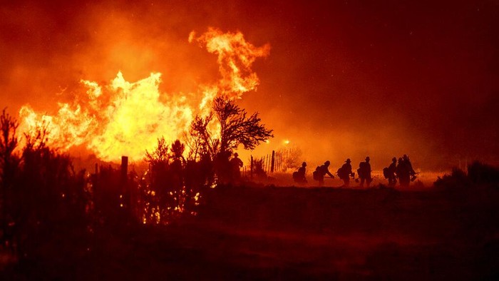Penampakan Kobaran Api yang Lalap Hutan di California