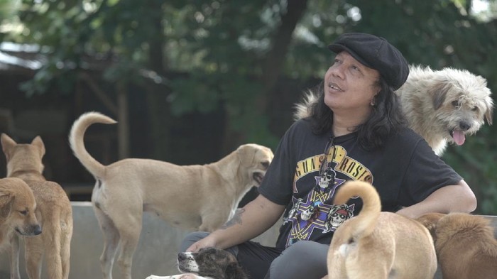 Doni Herdaru Tona (43), lulusan sarjana Akuntansi ini justru mendirikan shelter yang diberi nama Animal Defenders Indonesia di tahun 2011