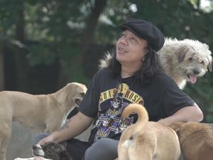 Melawan Peracun Anjing Jadi Latar Belakang Doni Buat Shelter