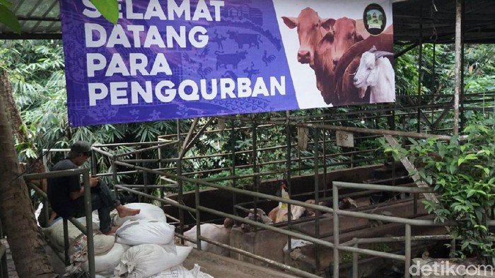 Kampung Pepohonan 99 Depok