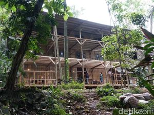 Kampung Pepohonan 99 Hidden Gem di Depok buat Rileks Sejenak
