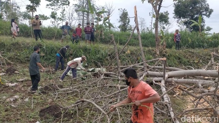 Seorang penebang pohon di Kabupaten Probolinggo tewas tertimpa pohon yang ditebang. Korban tewas di lokasi kejadian.