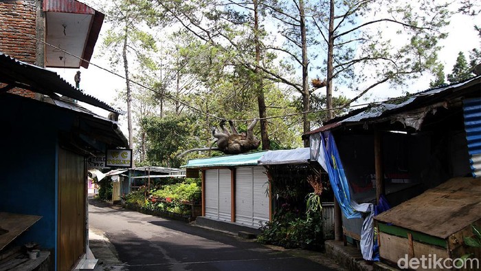 PPKM darurat, membuat objek wisata Grojogan Sewu tutup sementara. Para pedagang pun juga menutup kiosnya karena tak ada wisatawan yang berkunjung.