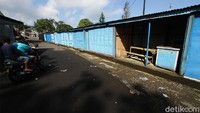 Selain di kios pedangan, kera-kera itu juga terlihat bergelantungan di kabel.