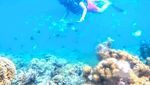Ini Pulau Harapan, Pesonanya Bak Surga Bawah Laut yang Tersembunyi