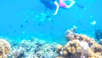 Pantai yang luas itu sudah cukup membuatku berjalan jauh dan menemukan apa arti hidup yang sesungguhnya