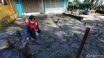 Ada PPKM Relawan Beri Makan Kera di Taman Wisata Grojogan Sewu