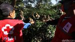 Ada PPKM Relawan Beri Makan Kera di Taman Wisata Grojogan Sewu