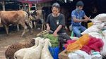 Potret Pedagang Hewan Kurban Pasar Tanah Abang di Masa PPKM Darurat