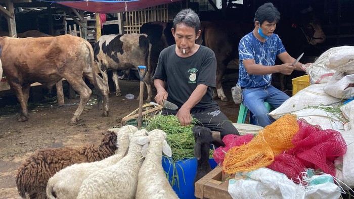 Suasana Pasar Kambing Tanah Abang, Jalarta Pusat H-10 Idul Adha