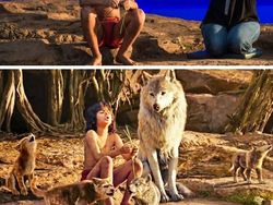 Ini yang Sebenarnya Terjadi di Balik Layar Film Keren Hollywood