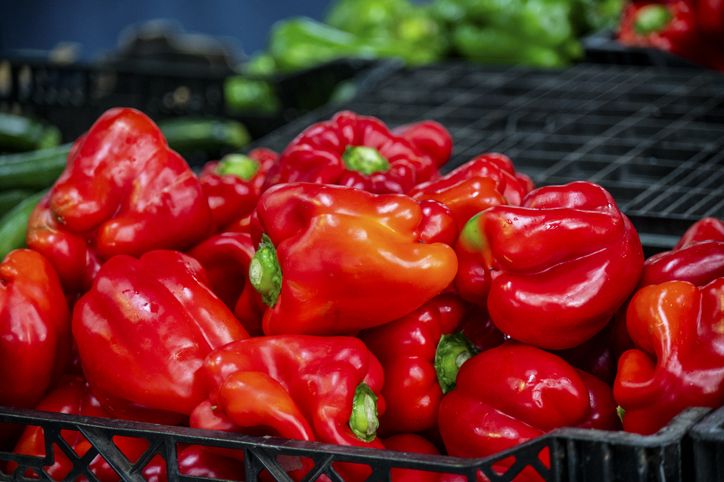 Makanan untuk Imunitas Tubuh dan Melawa Inflamasi