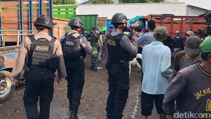 operasi yustisi di pasar hewan