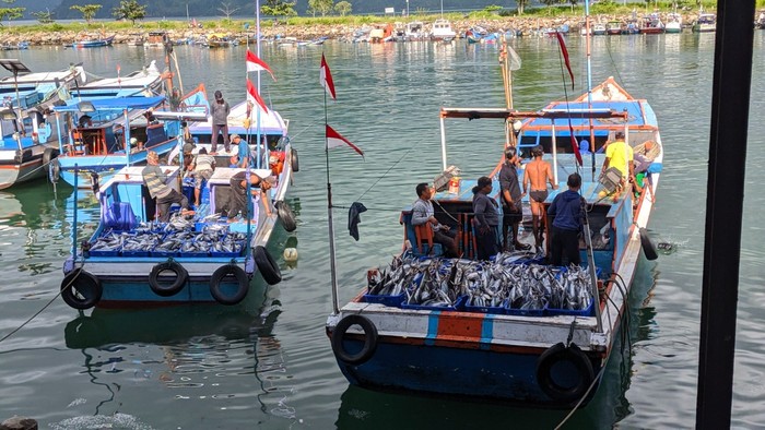 Produksi perikanan tangkap di pelabuhan perikanan menunjukkan tren positif di tengah masa Pemberlakuan Pembatasan Kegiatan Masyarakat (PPKM) Darurat.