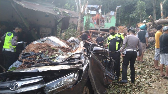 Pohon tumbang timpa mobil di Bengkulu, 2 orang tewas