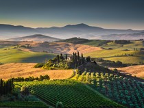 Destinasi Wisata Populer Italia Berjibaku Melawan Serbuan Lalat