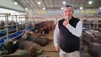 Jika biasanya ia menjual ratusan sapi limosin, saat ini ia hanya mampu menjual belasan sapi limosin.